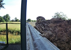 Wildlife at Dunnetts Farm Barn